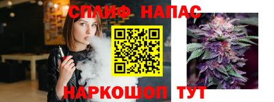 спиды Ливны